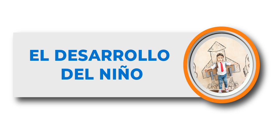 * EL DESARROLLO DEL NIÑO