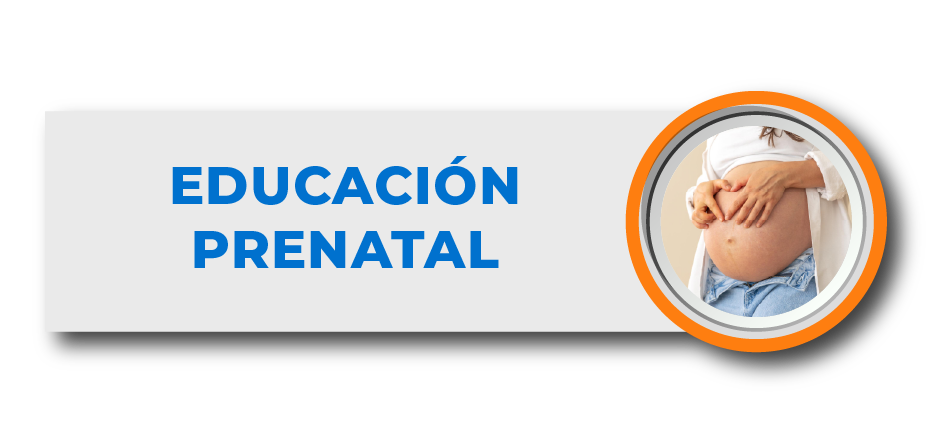 * EDUCACIÓN PRENATAL