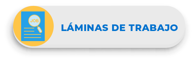 * LÁMINAS DE TRABAJO